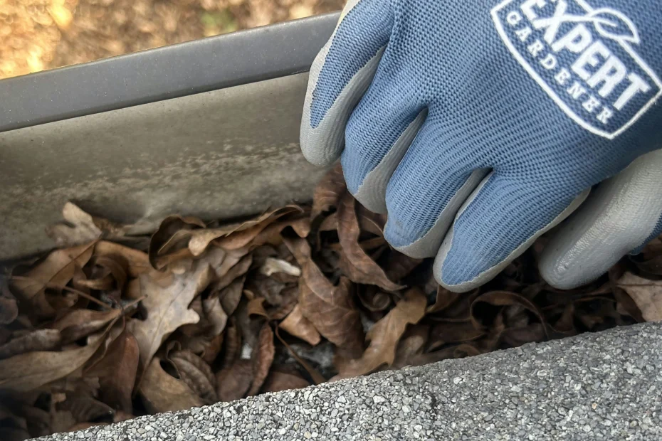 Gutter Cleaning Tanner